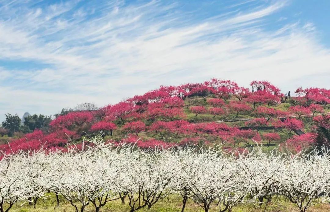 重庆圣水湖桃花岛