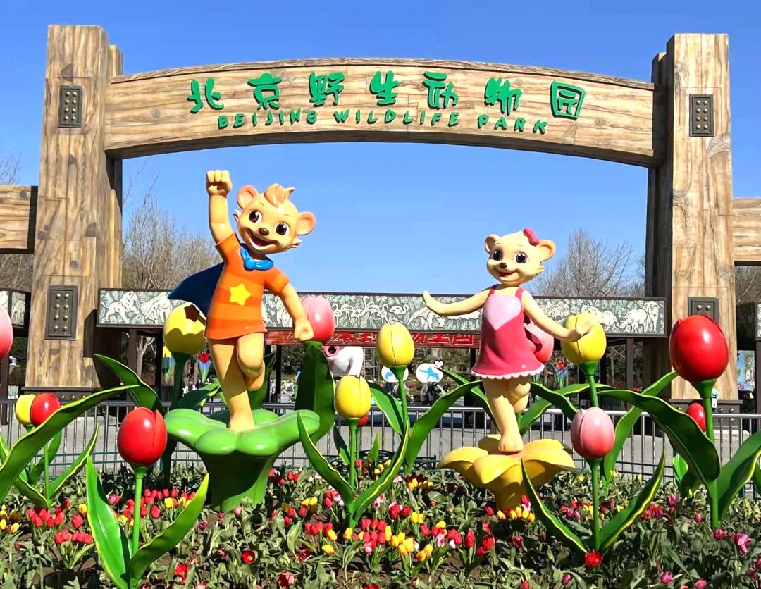2024北京野生动物园开放时间+门票价格+游览图
