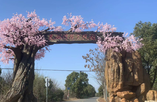 蕪湖櫻花文化園