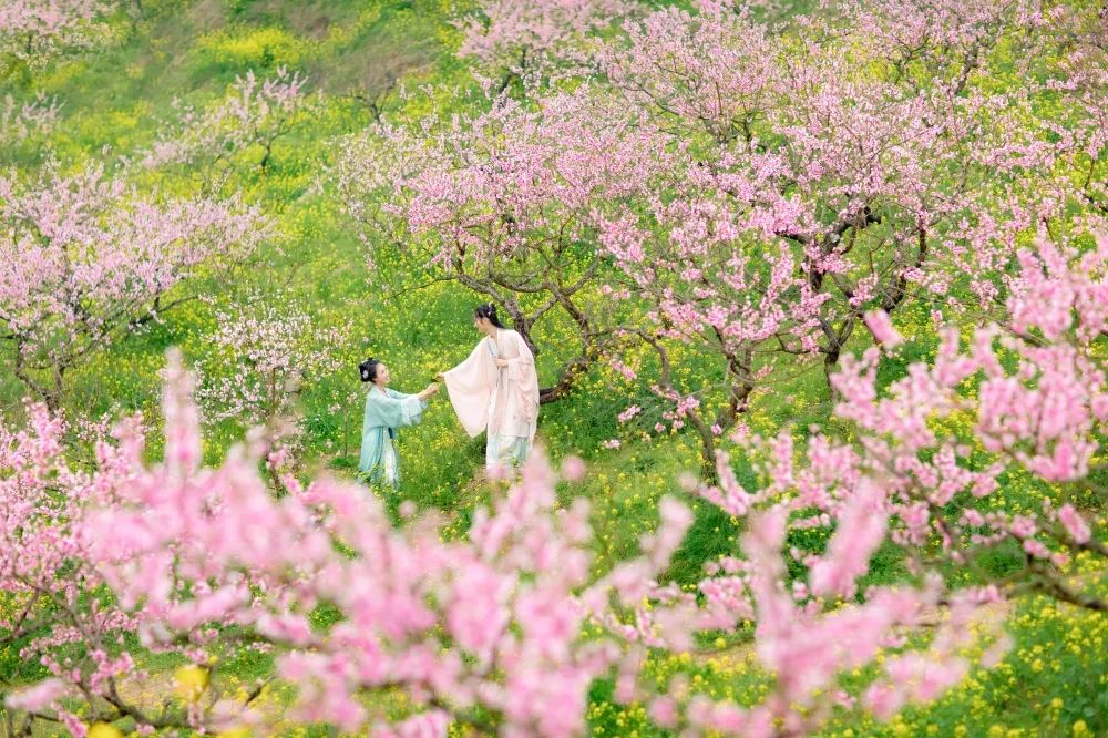 重庆圣水湖桃花岛