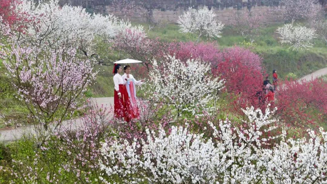 重庆圣水湖桃花岛