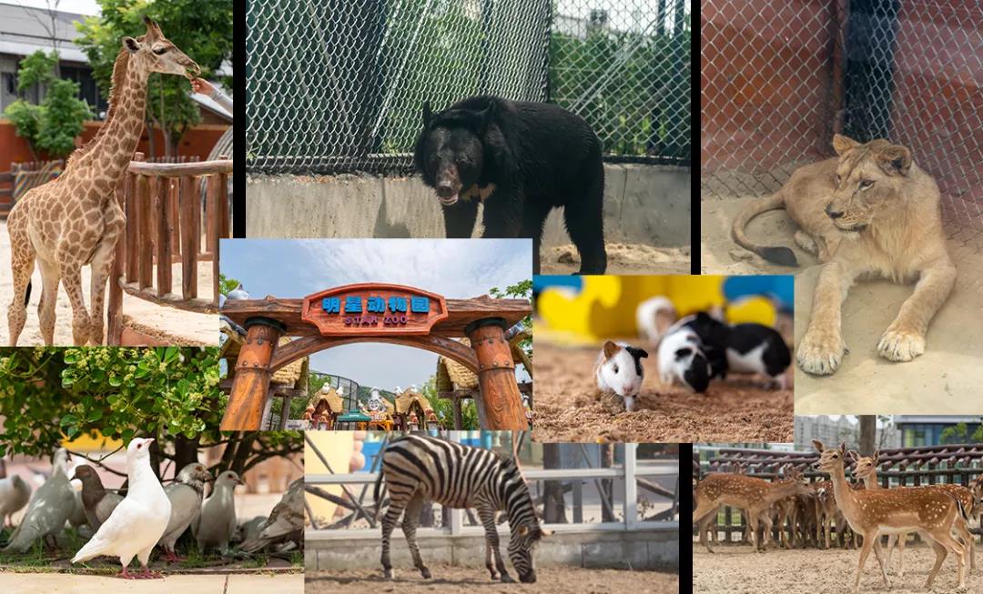 無錫融創(chuàng)明星動物園.jpg