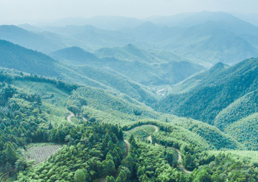 台州华顶国家森林公园