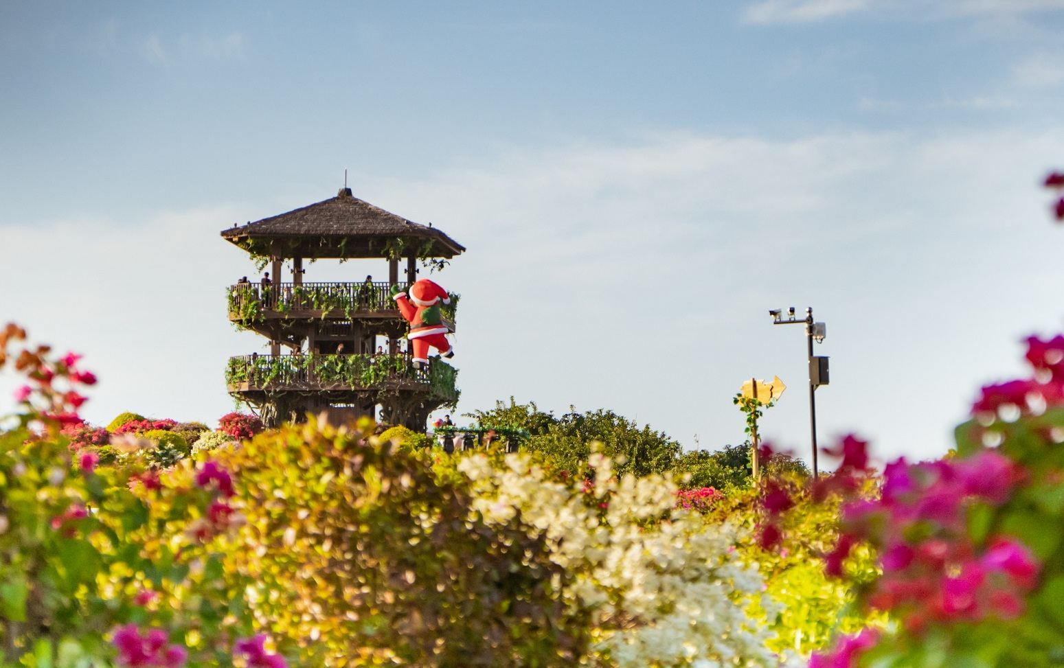 惠州千花洲