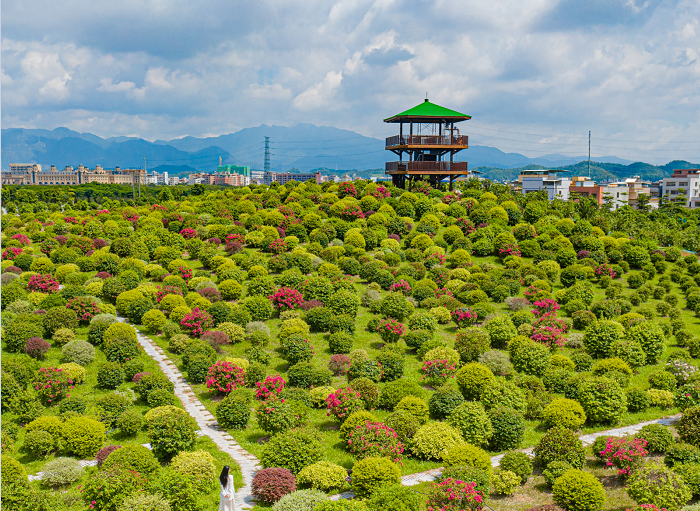 惠州千花洲