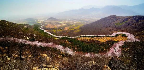 滨州樱花山风景区