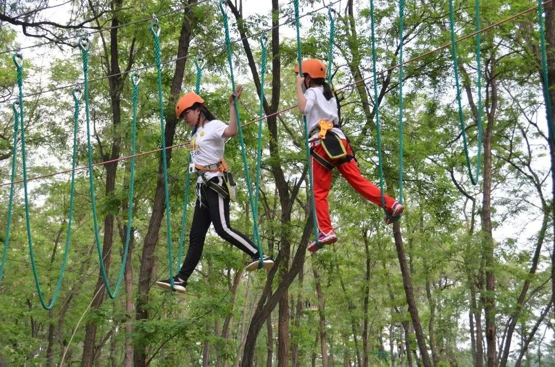 鄭州飛越叢林探險樂園