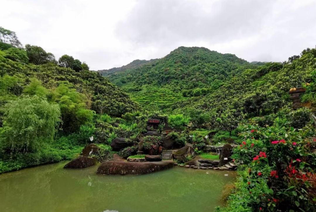 广州香蜜山果庄