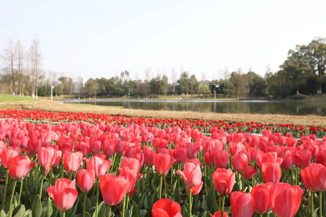 長(zhǎng)沙園林生態(tài)園