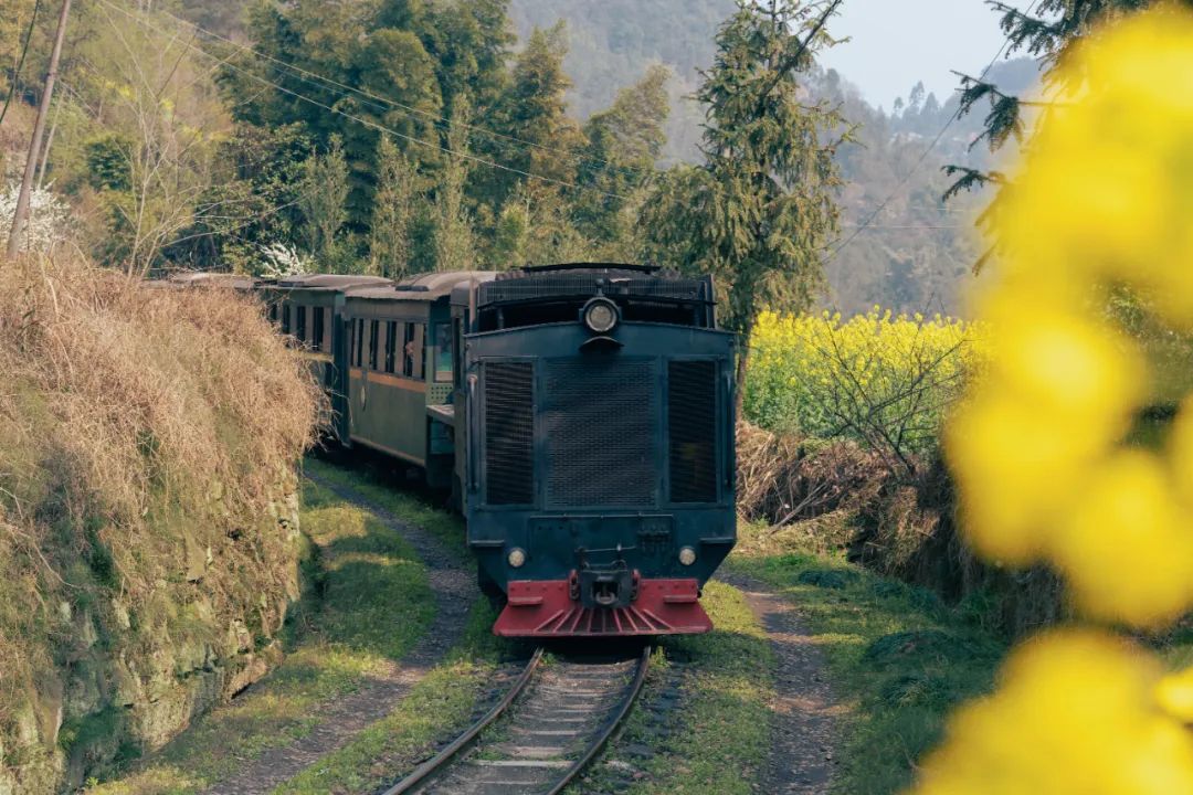 2024四川嘉陽小火車景點(diǎn)介紹+路線+最佳觀景點(diǎn)