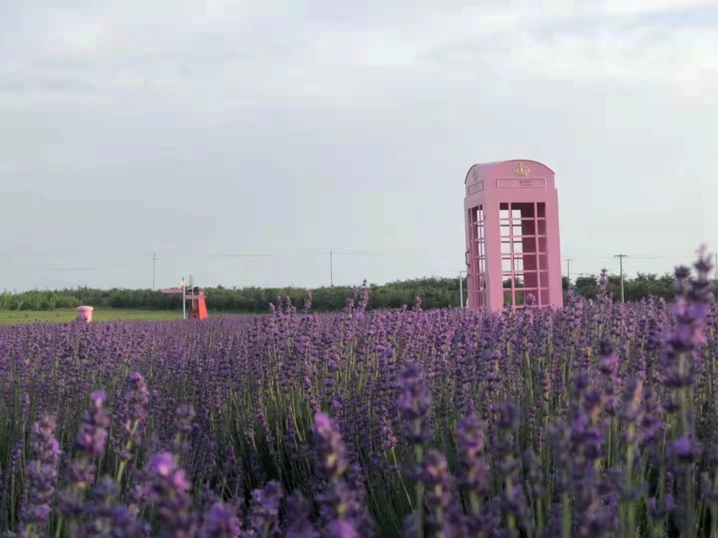 镇江香海琴枫浪漫庄园