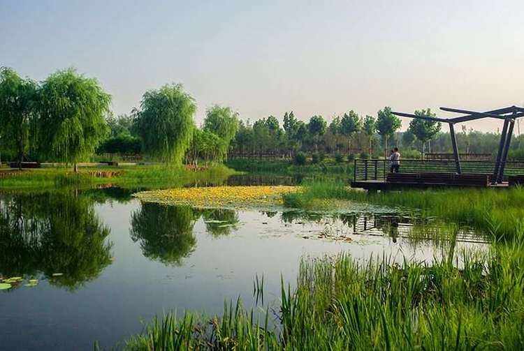 龙湖湿地公园