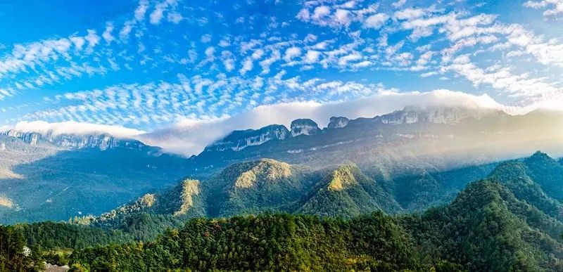 金佛山北坡景区