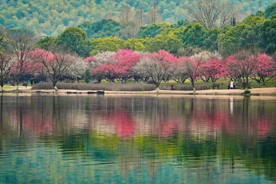 湘湖3.jpg