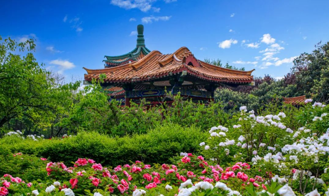 洛阳中国国花园