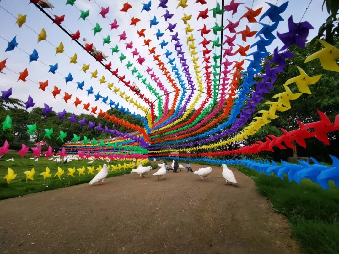 嵊州虎居動物園6.jpg