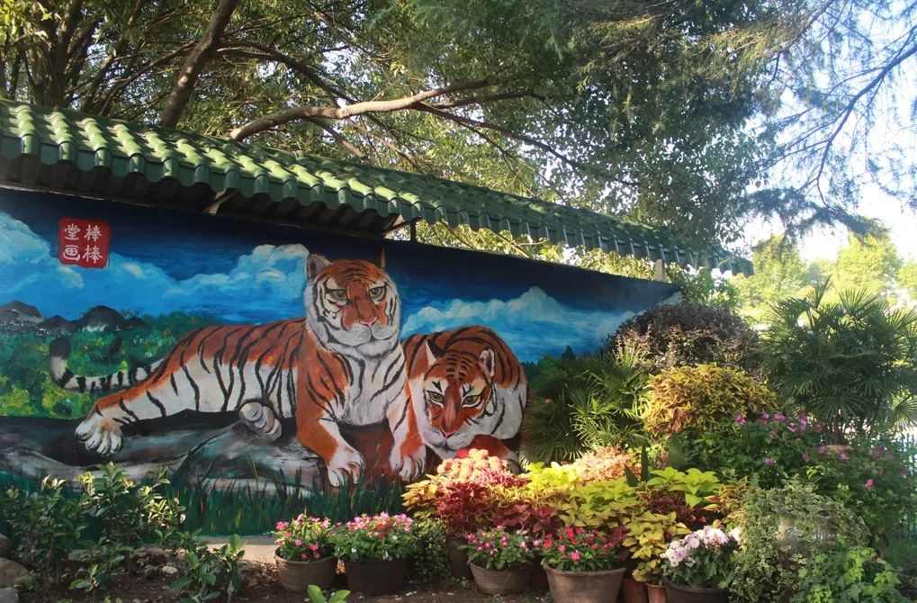 嵊州虎居动物园
