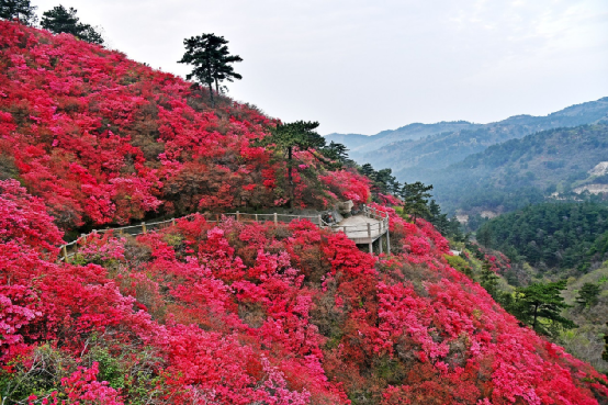 武汉木兰云雾山