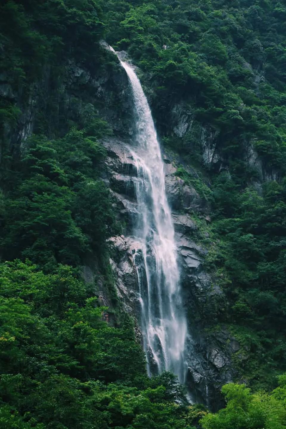 宜春明月山风景区2.jpg