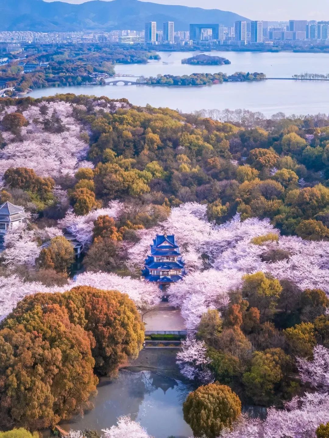 鼋头渚景区.jpg