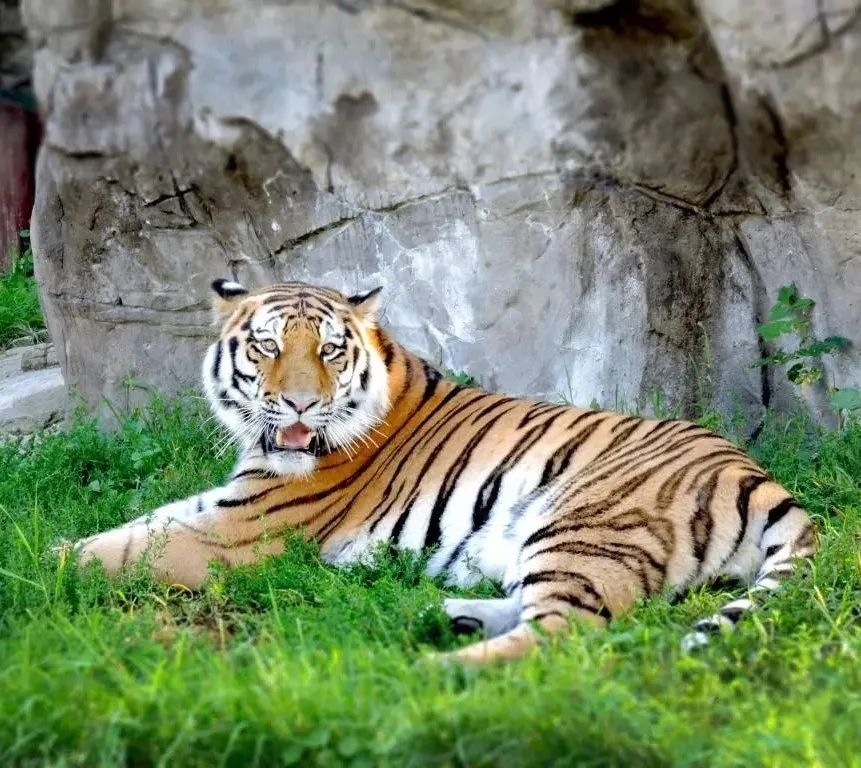 淄博文昌湖萌寵動(dòng)物園