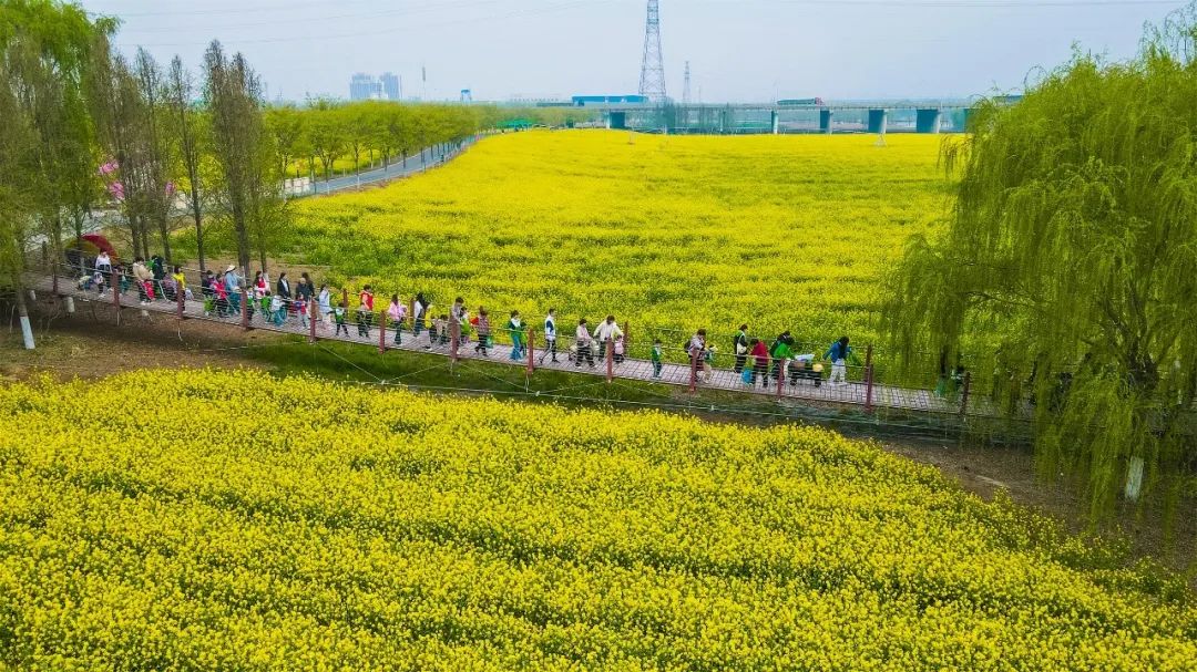 济宁花海彩田景区