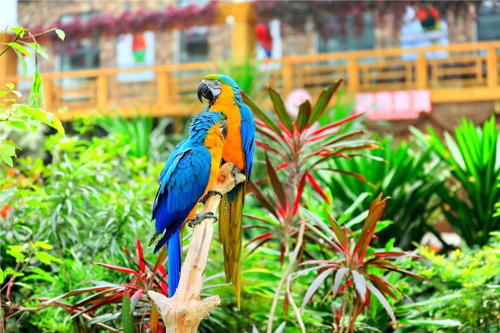 北京南宮五洲植物樂園