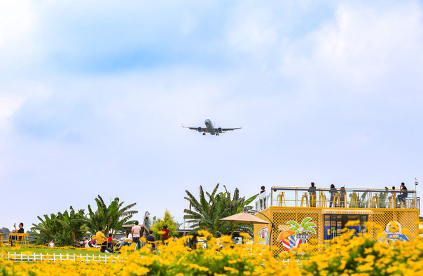 空港花田