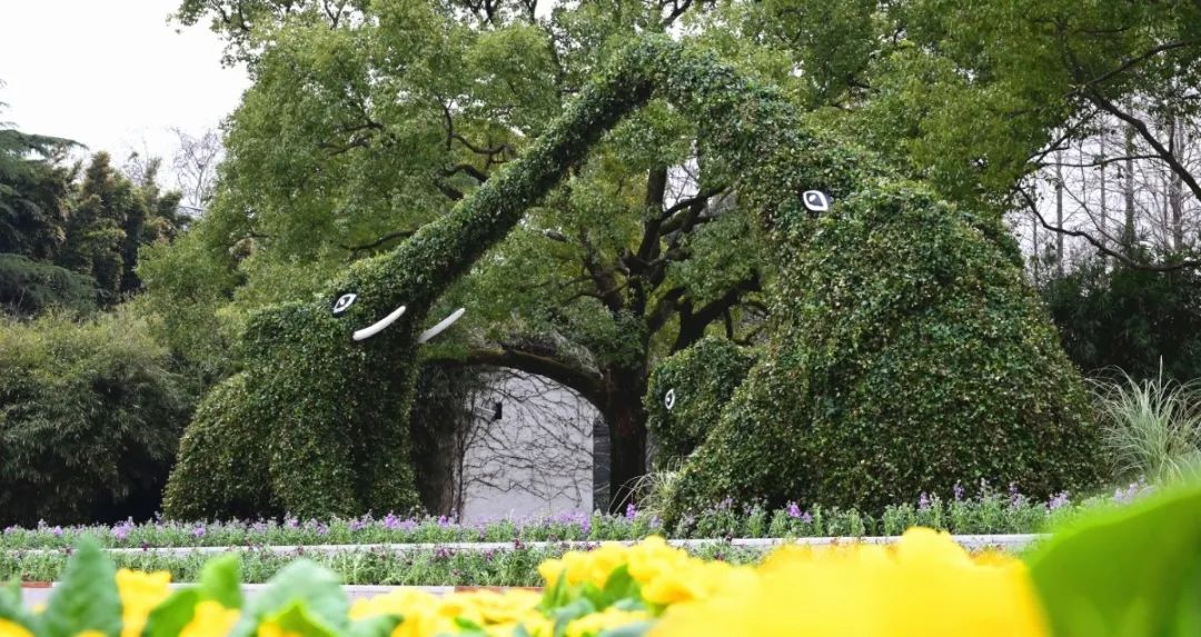 綠色上海公園年票