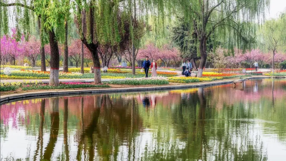 石家庄植物园