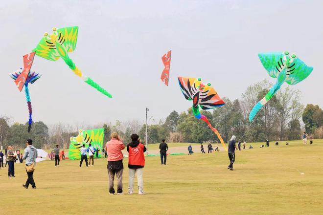 京津冀国际风筝节
