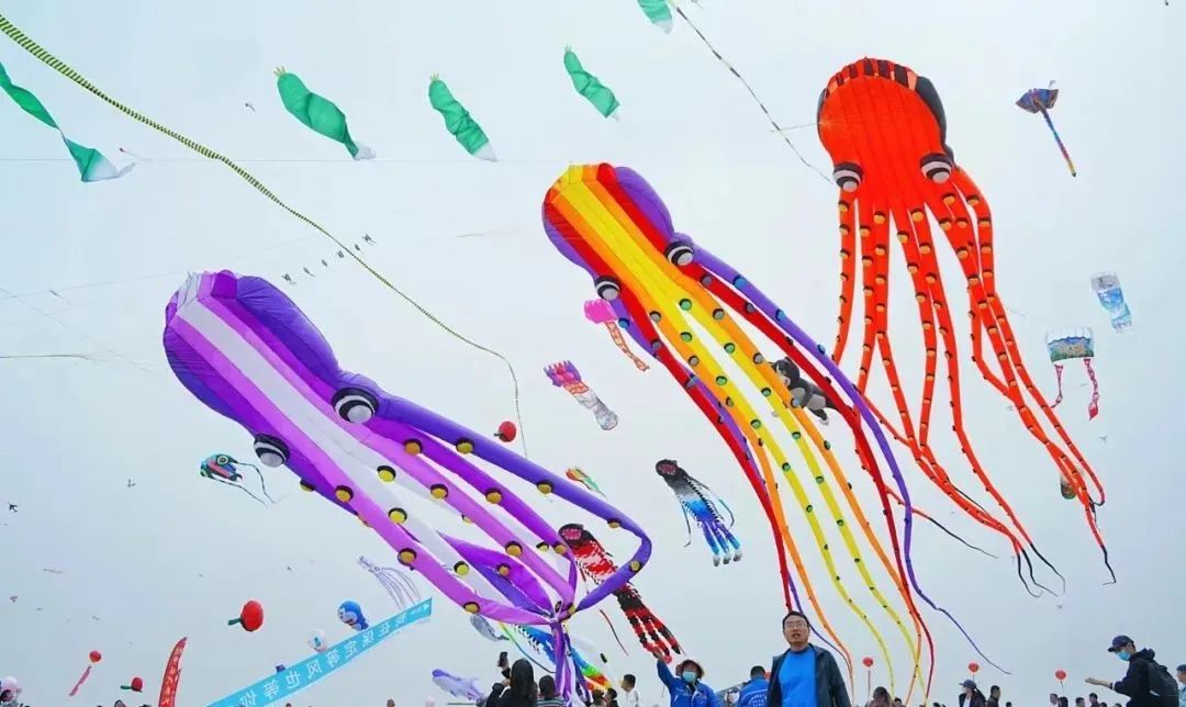 京津冀国际风筝节