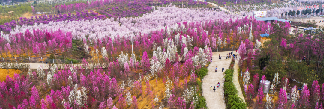 綿陽(yáng)百花樂(lè)園4.png