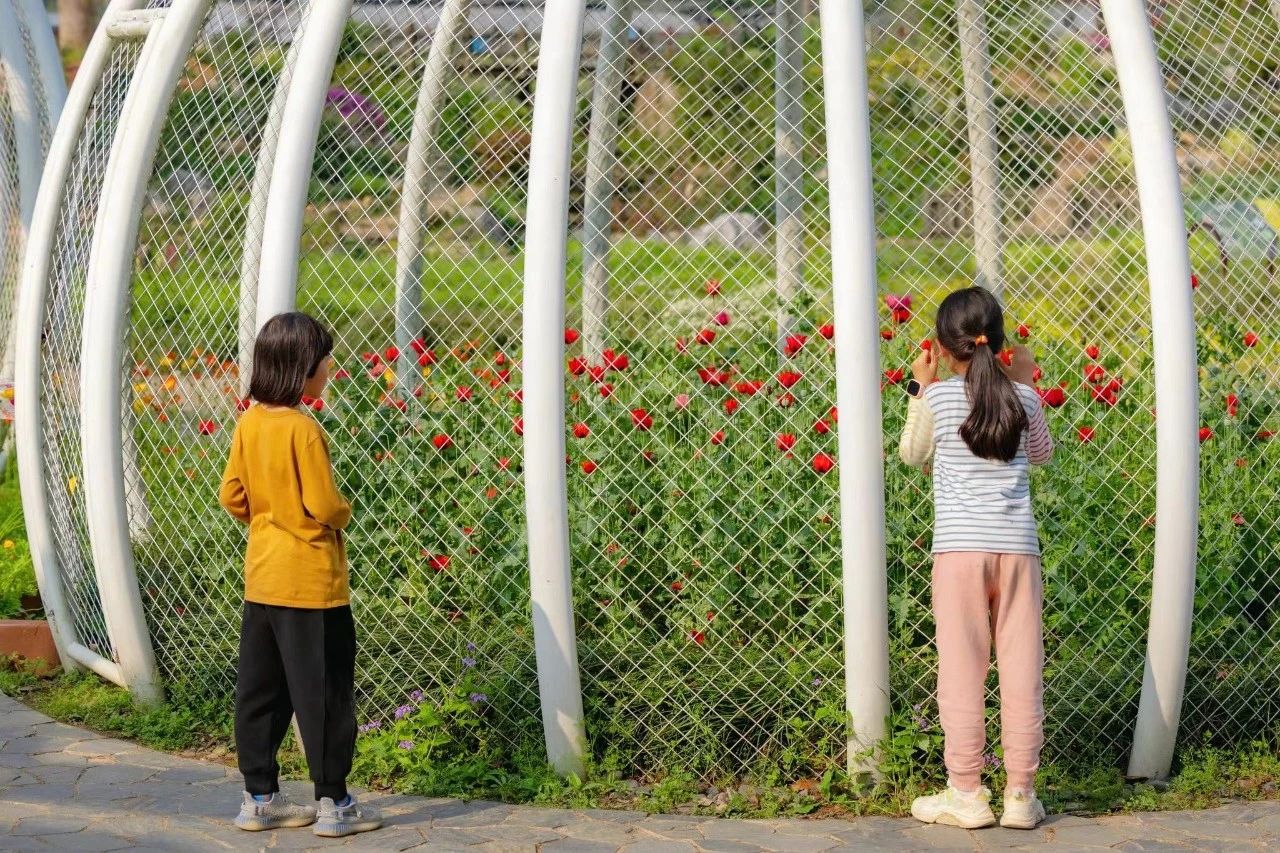 武漢植物園5.jpg