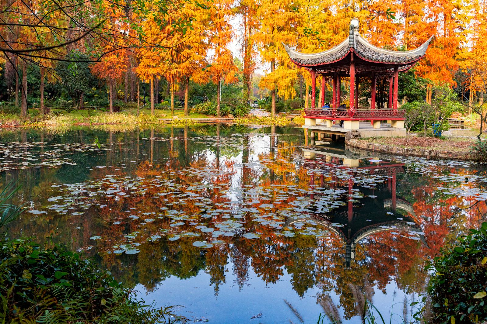 武漢植物園