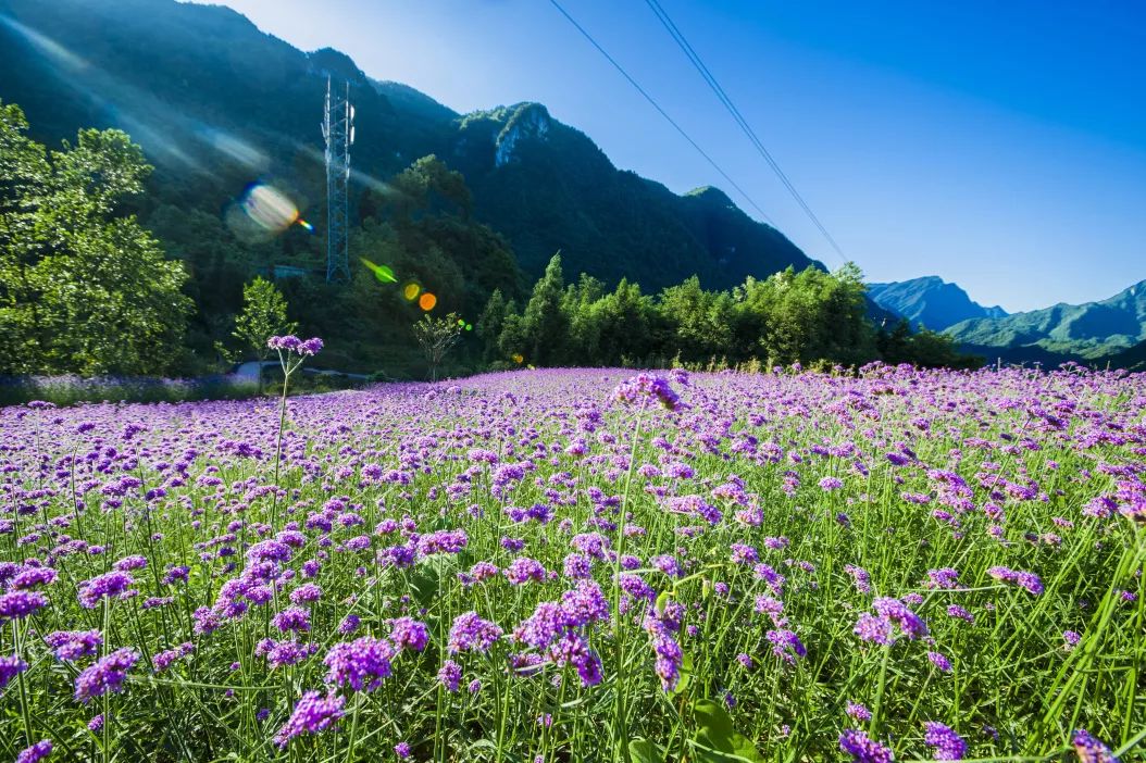 百花谷旅游度假區(qū)