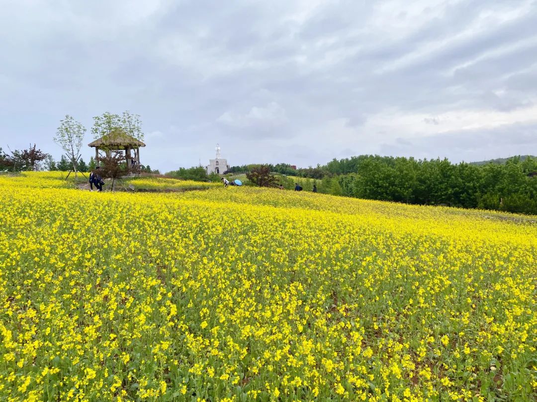 華醞牡丹園