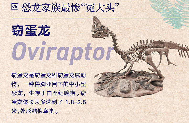 北京2亿年的地球记忆恐龙化石特展
