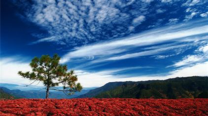 老君山黎明景區(qū)