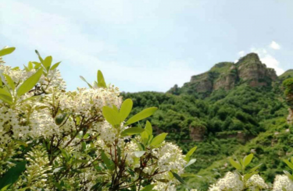 邢臺鳳凰崖景區(qū)