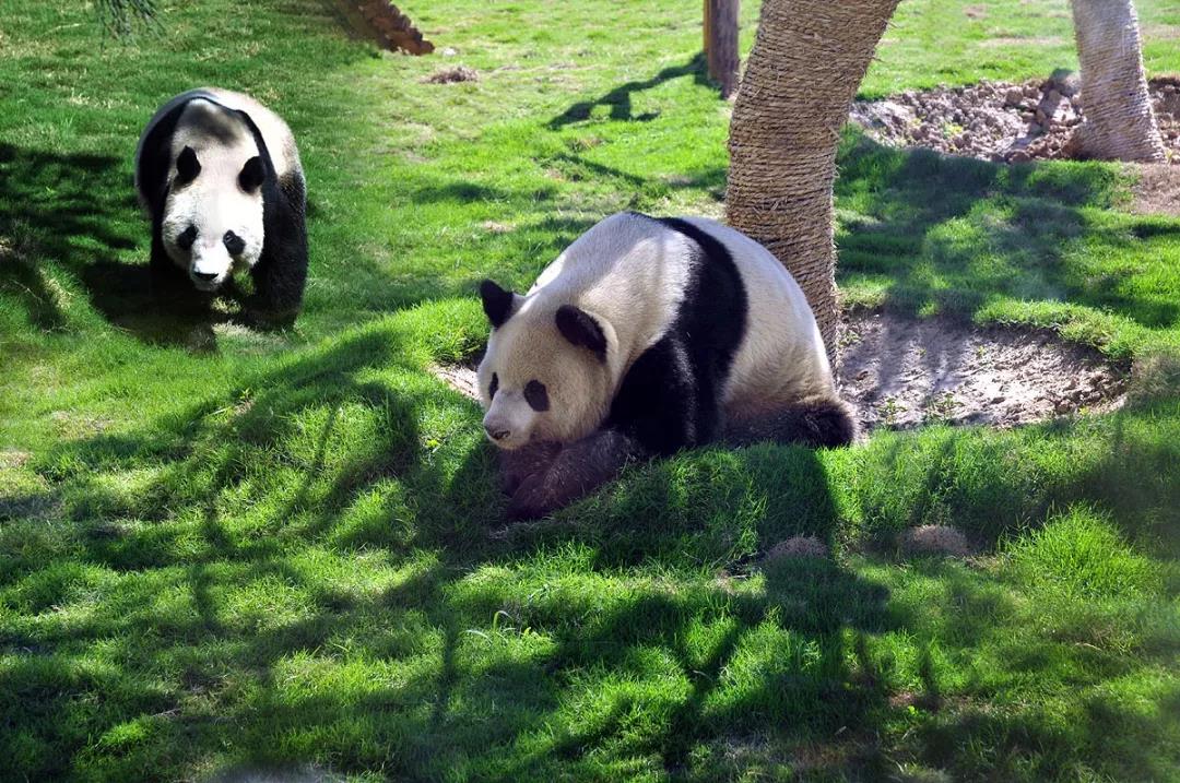 臨沂動植物園