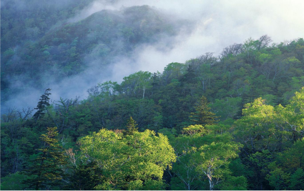 石家莊五岳寨風(fēng)景區(qū)