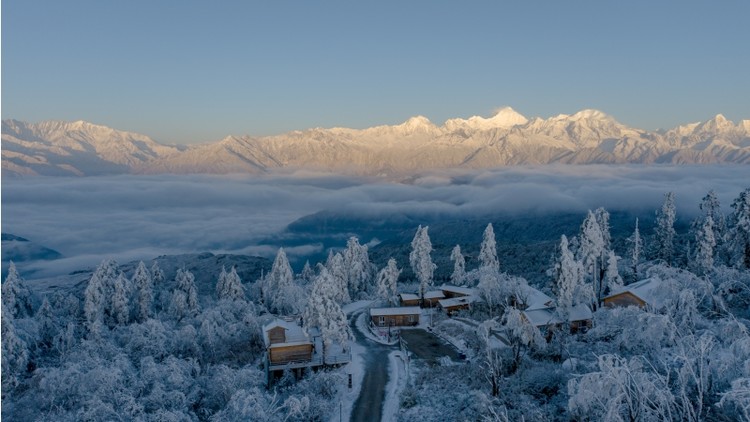 雅安王崗坪景區(qū).jpg