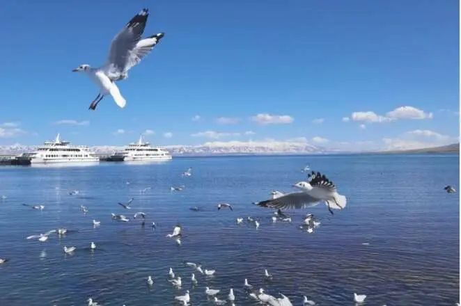 青海湖二郎剑景区