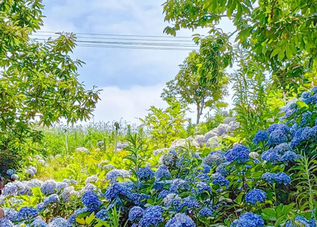 長(zhǎng)沙遇見童年景區(qū)