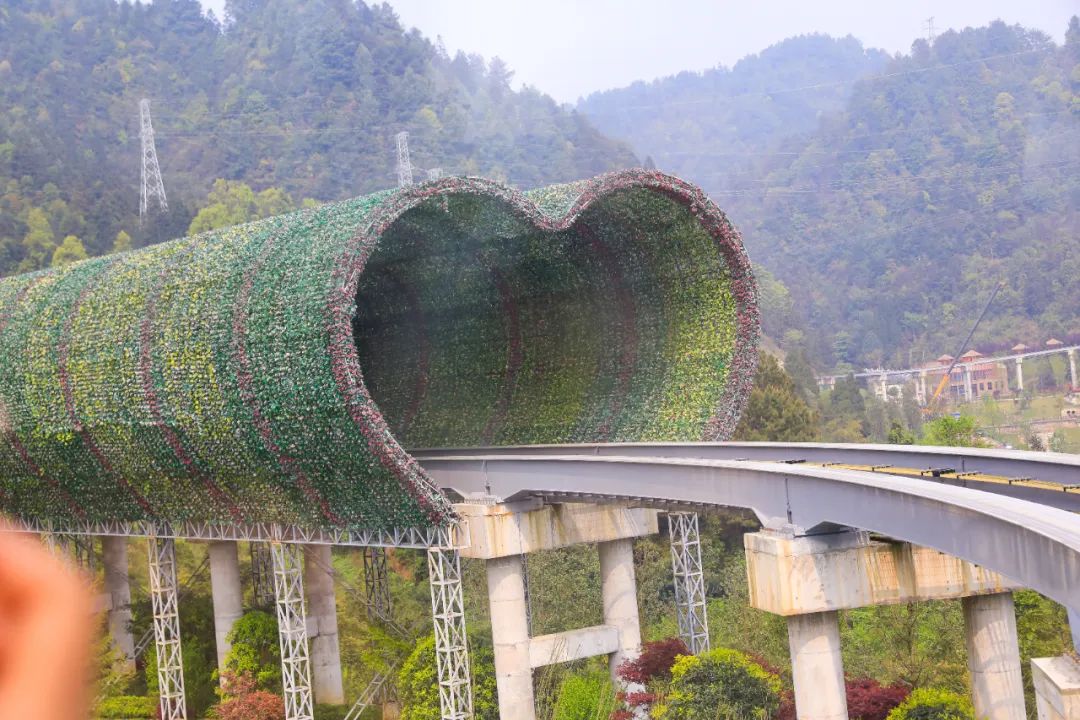 遵義森林觀光小火車