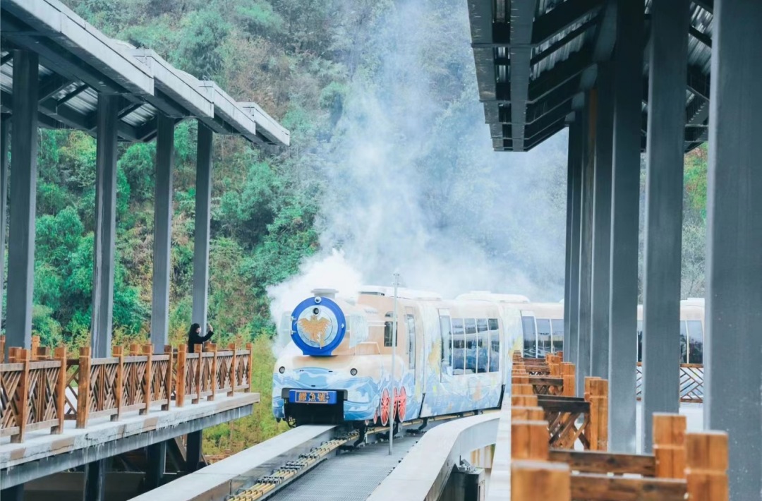 遵義森林觀光小火車