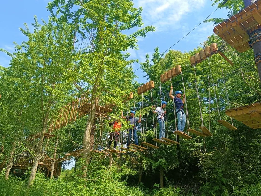 魯家灘嘣叭樂園