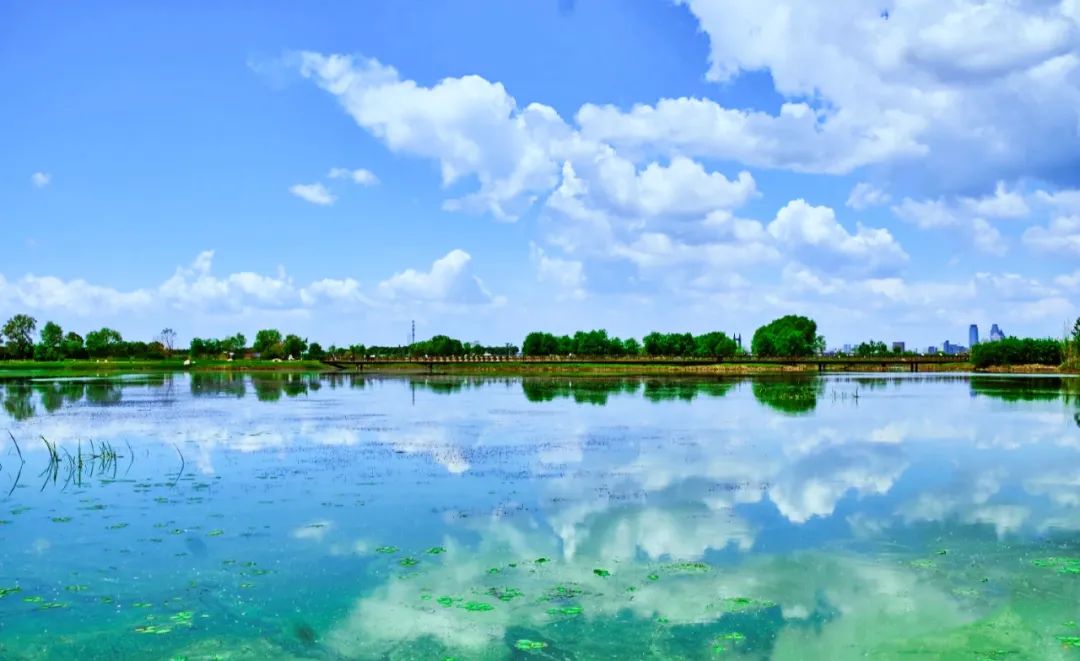 呼蘭河口濕地公園