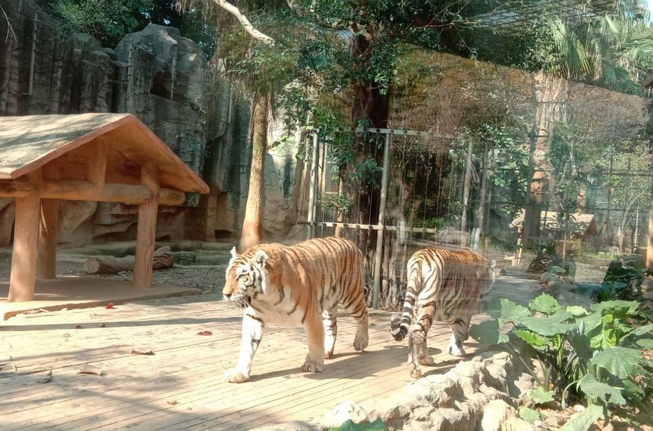 南寧動(dòng)物園.jpg